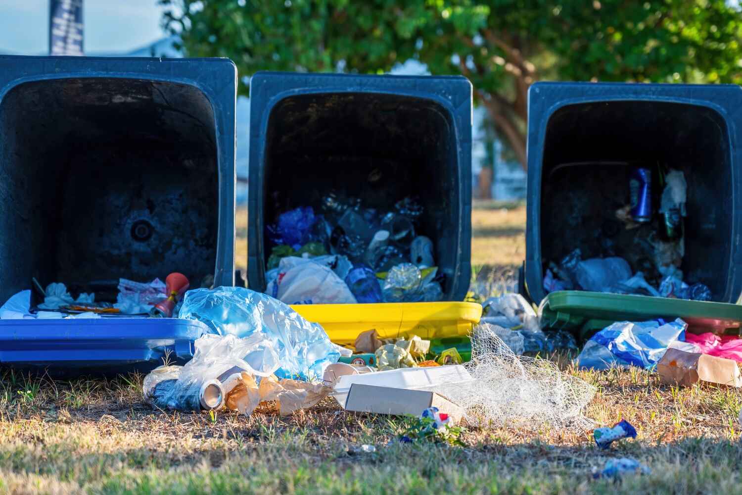 Household Junk Removal in Lincoln Park, NY